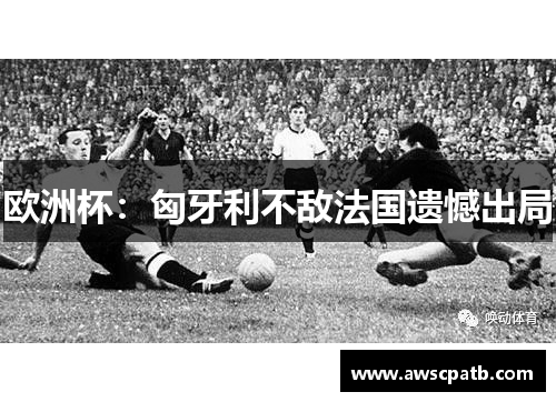 欧洲杯：匈牙利不敌法国遗憾出局