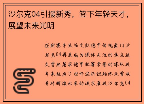 沙尔克04引援新秀，签下年轻天才，展望未来光明