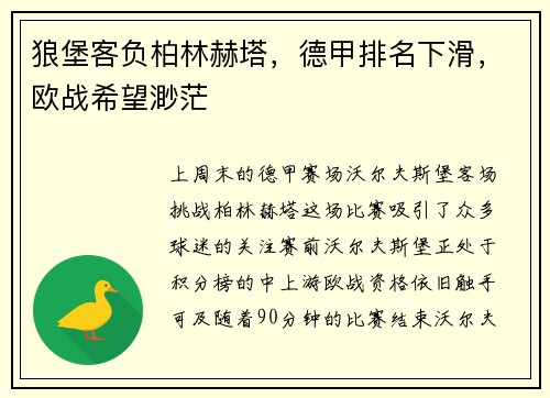 狼堡客负柏林赫塔，德甲排名下滑，欧战希望渺茫
